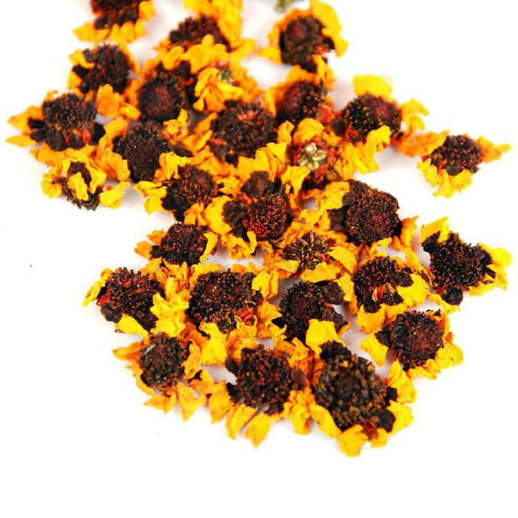 散装耐寒蛇目菊种子雪菊天山雪菊花种子盆栽庭院花卉种子四季