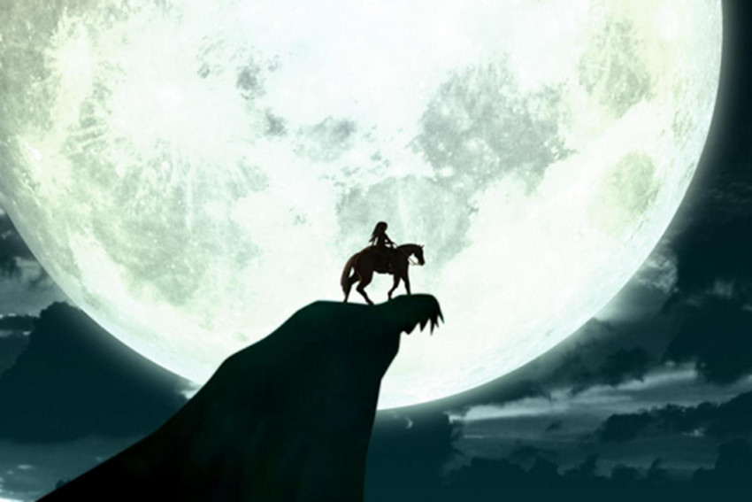 月下孤狼钻石画十字绣满钻外贸家居装饰新款5d钻石画厂家批发