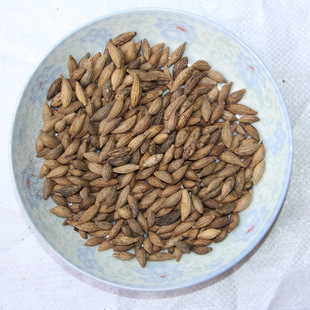 求购桂花树种子