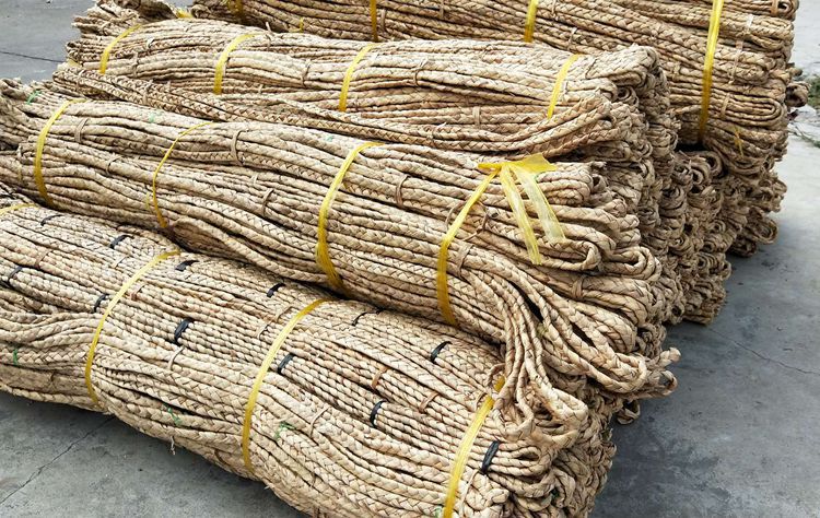 天然植物手工蒲草辫子 水葱辫子 水仙草辫子 草编绳编织工艺材料