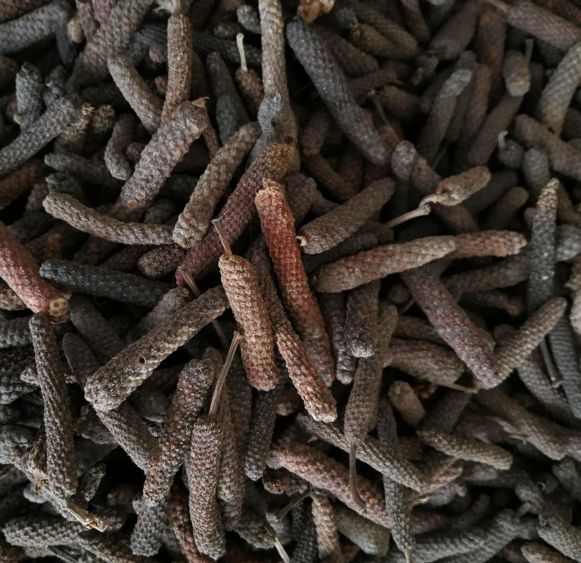 荜菝 毕菝 毕拔 荜拔荜拨 毕拨毕卜碧波另售草果丁香肉蔻花椒香料