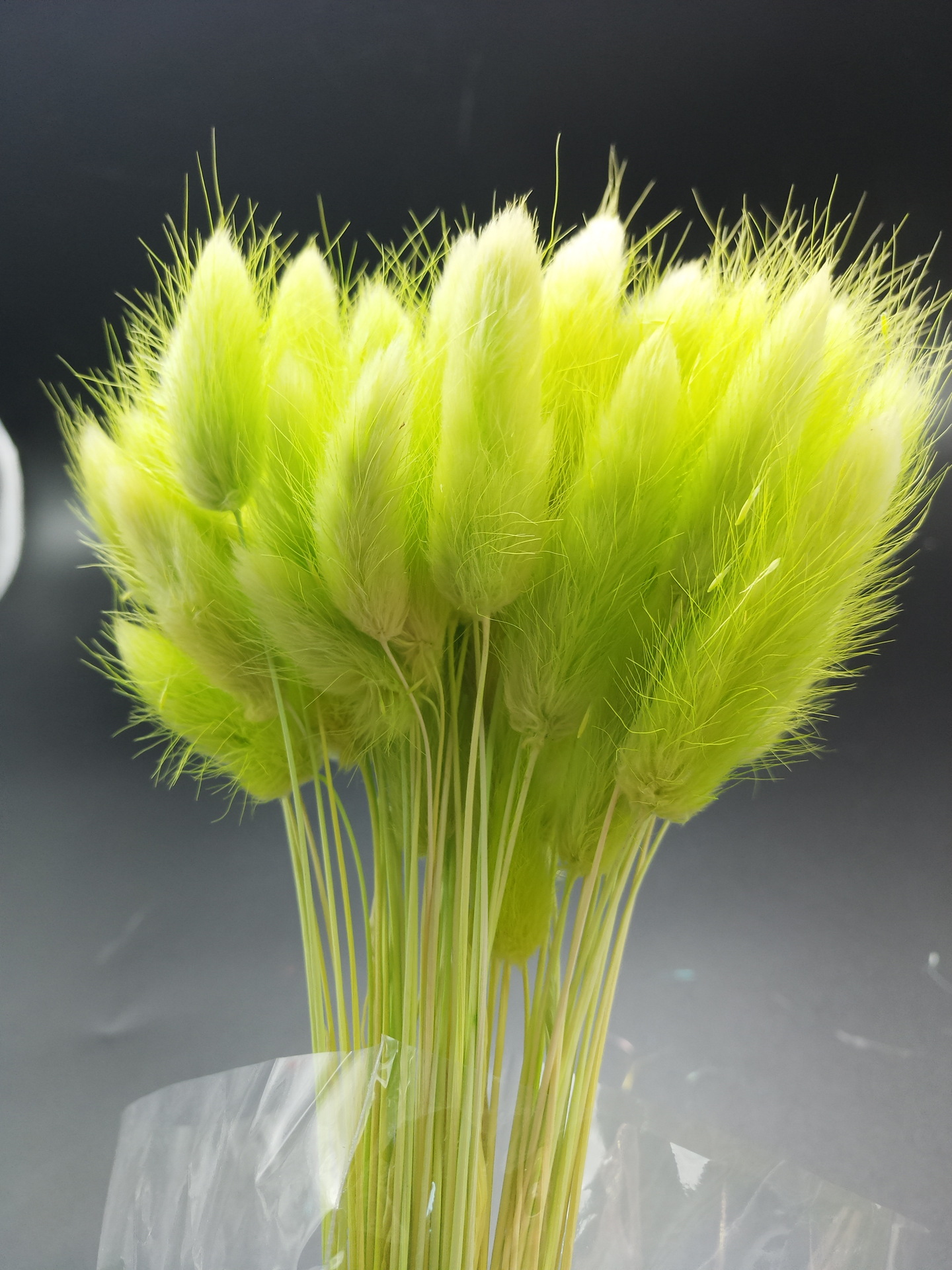 云南 兔尾草干花天然花束 仿真花永生花diy花材狗尾巴草拍摄道具