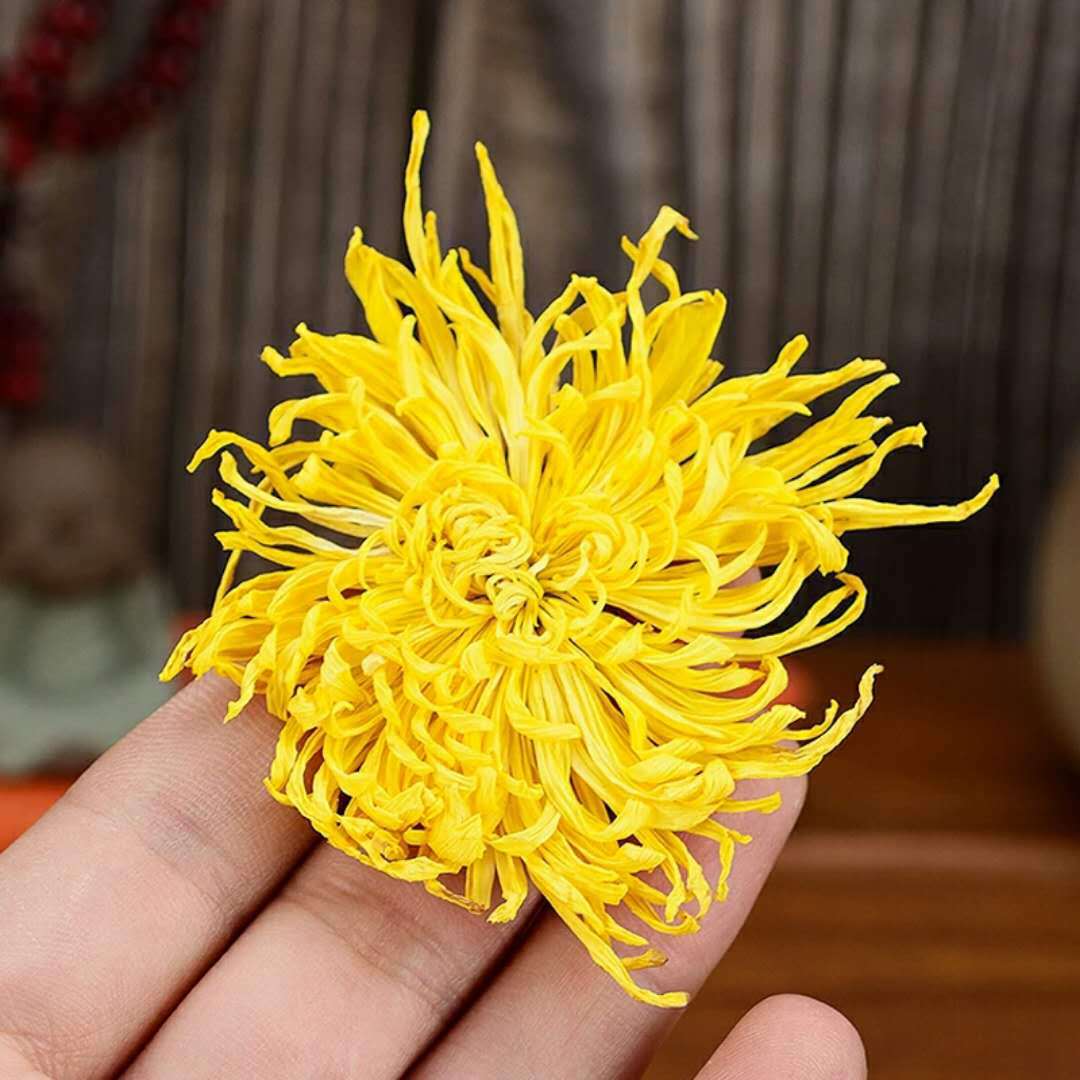 金丝皇菊一朵一代菊花茶独立包装袋口留香花草香黄山贡菊