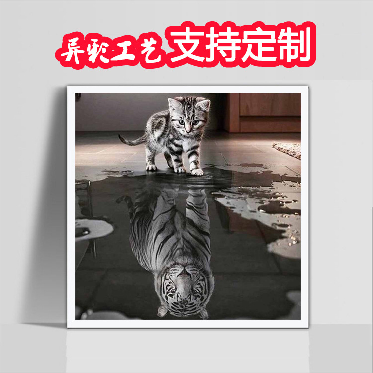 外贸爆款 钻石画diy满钻动物小猫倒影老虎点钻十字绣厂家批发定做