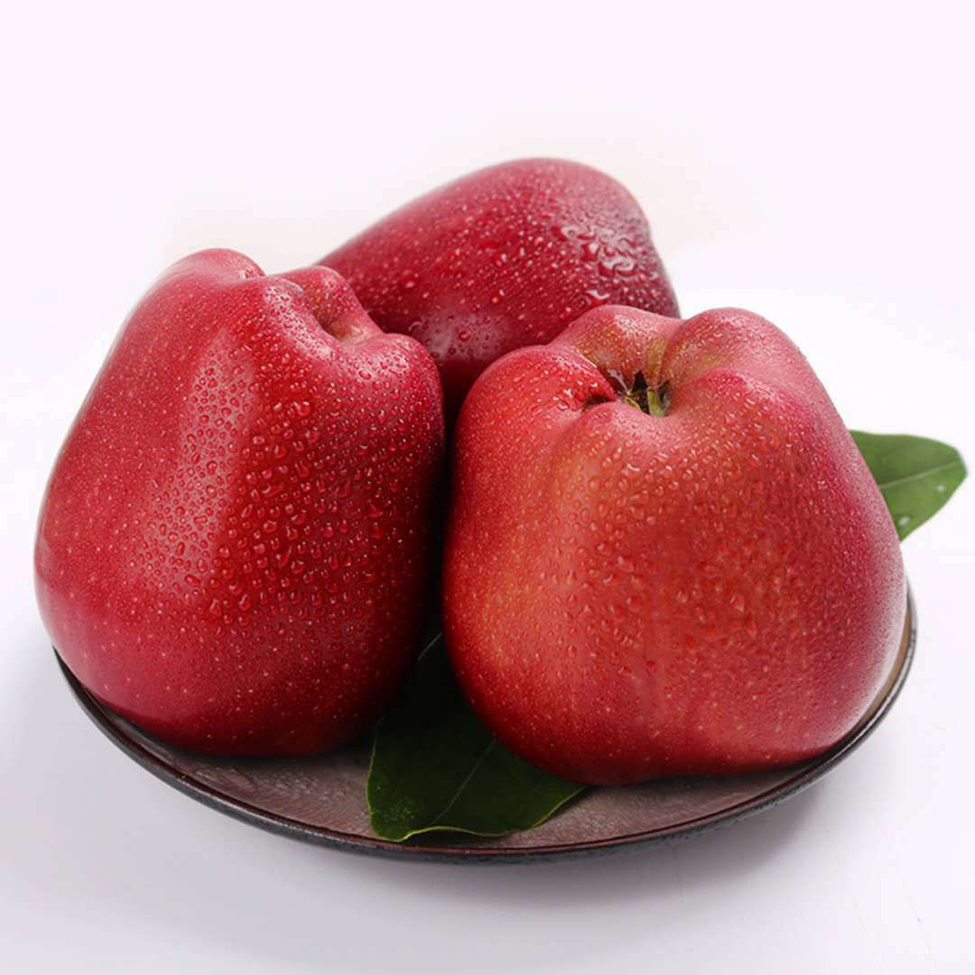 甘肃天水花牛苹果红蛇果新鲜水果粉面苹果带箱10斤多规格一件代发