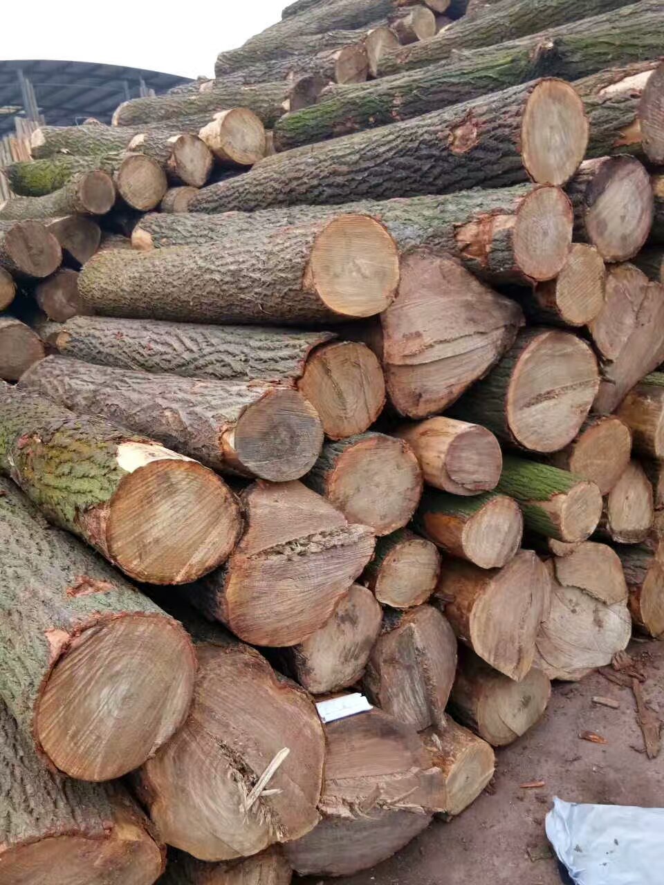 厂家销售梓木 梓木原材料 江西梓木 梓木加工