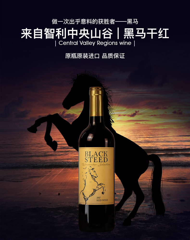 智利原瓶进口红酒赤霞珠大黑马干红葡萄酒中央山谷口粮酒性价比高