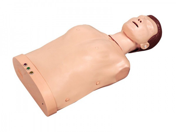 kay/cpr195半身心肺复苏模拟人医用训练假人医学教学模型橡皮人