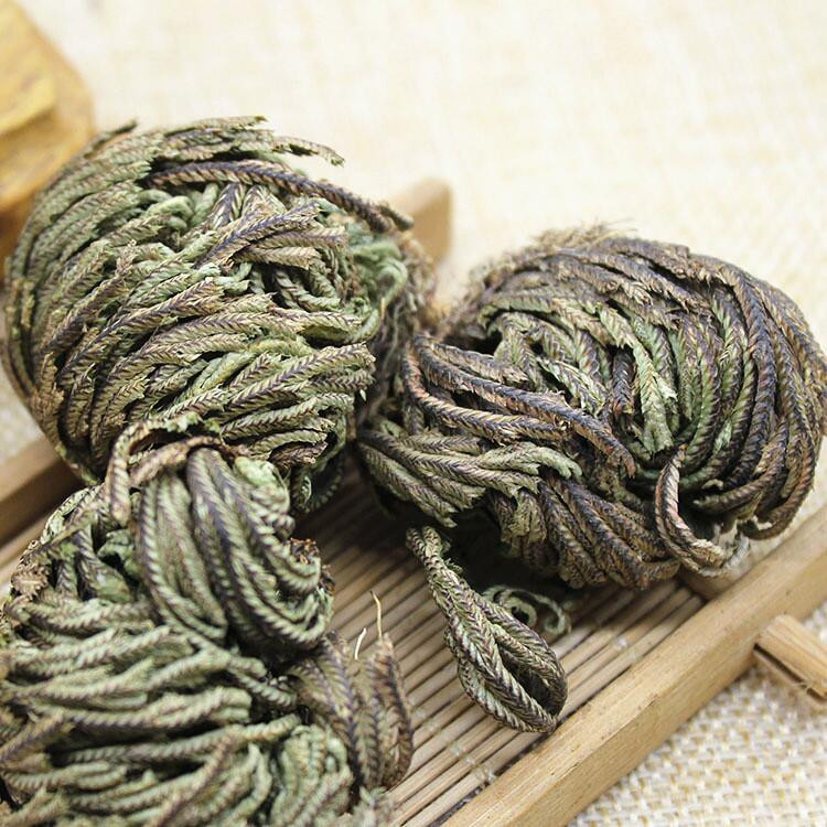 中药材批发 野生卷柏正品新货九死还魂草 天然卷柏一公斤包邮