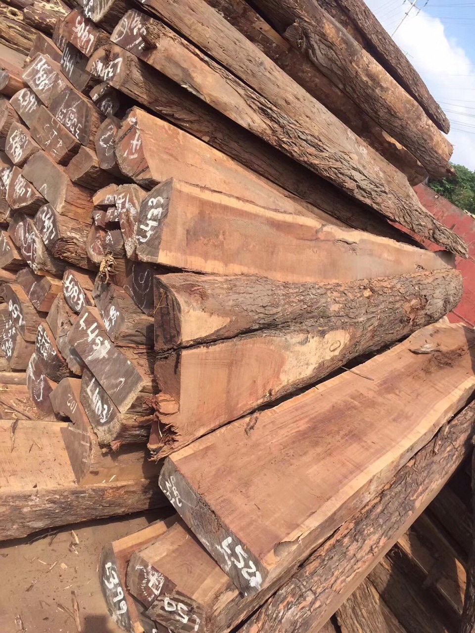 编辑 非洲红酸枝,也称红檀,蝶形花科铁木豆属,学名是.