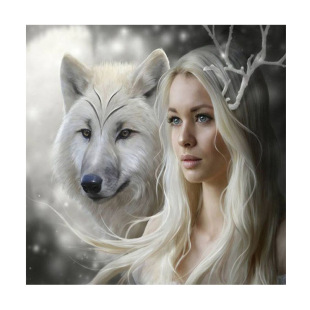 5d钻石画满钻钻石绣diy 方钻十字绣diy美女与狼贴钻画 客厅