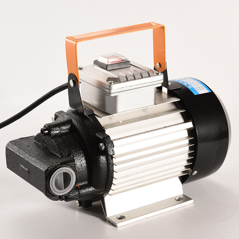 750瓦齿轮泵 电动抽取机铸铝油齿轮油电动加油泵厂家直销自动泵