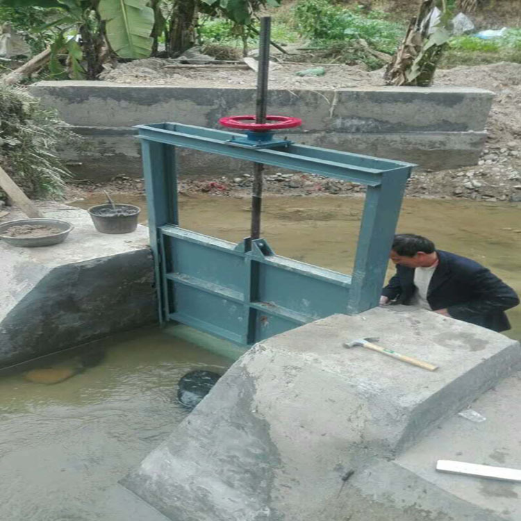 长期专业制造螺杆启闭机铸铁闸门拍门新河县源硕水工机械厂