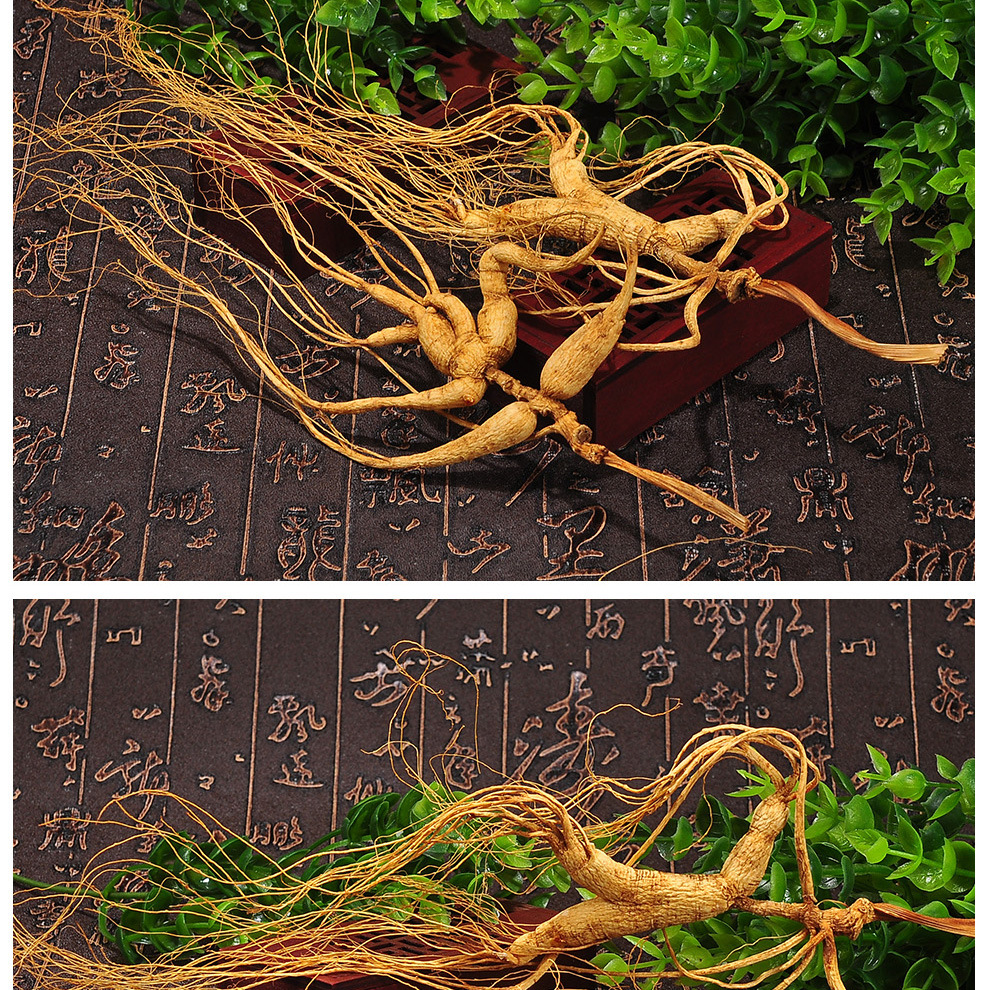林下山参长白山人参东北干枝移山参吉林特产林下参15-18克移山参