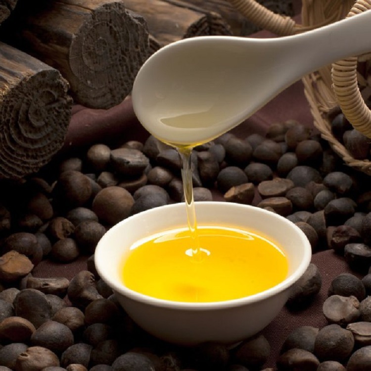 大包装食用化妆品用井冈山山茶油野山茶籽油精炼山茶油价格电议