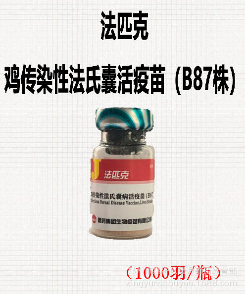 哈药 鸡传染性法氏囊病活小鸡疫苗禽疫苗 法匹克 鸡法氏囊10瓶价
