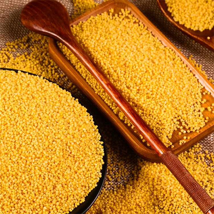 批发大金苗小米 杂粮小米2.5kg 石磨内蒙小米 米五谷杂粮