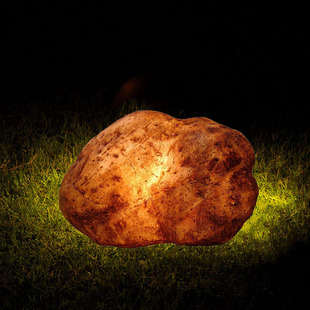 仿石灯户外灯发光石头灯草地草坪灯庭院景观灯公园装饰假石假山