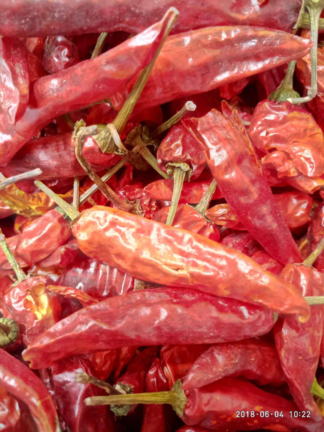 福建辣椒王 颜色浅黄 辣度爆辣 价格实惠 工厂 卤菜店 火锅适用