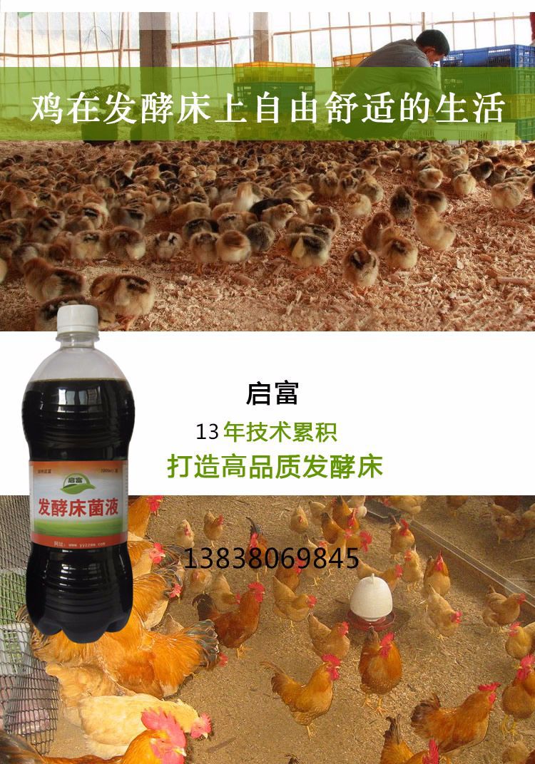 养鸡发酵剂益生菌