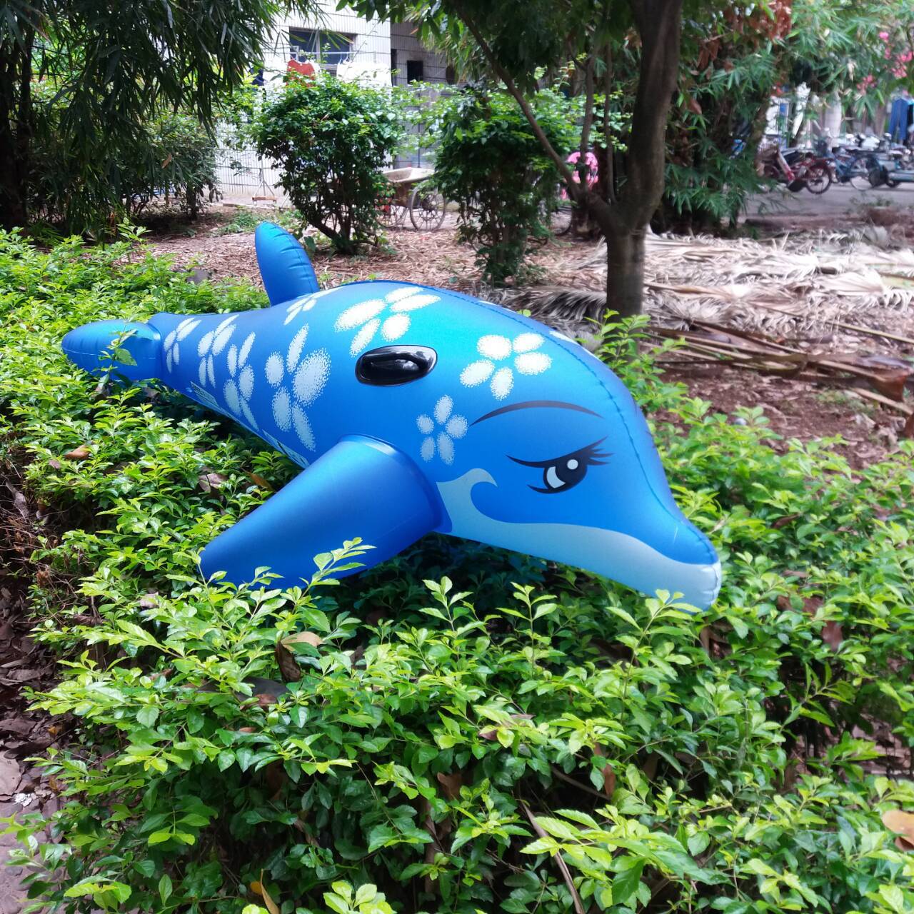 充气海豚坐骑充气玩具pvc玩具充气鲨鱼动物浮排