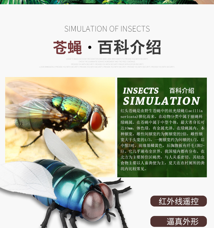 遥控苍蝇动物宠物电动红外感应昆虫仿真整蛊礼品遥控苍蝇模型玩具