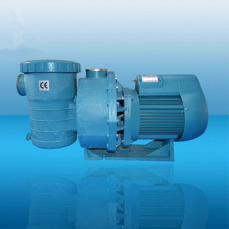 泳池水循环过滤泵 泳池循环泵 强力静音水泵 游泳池设备 泳池水泵