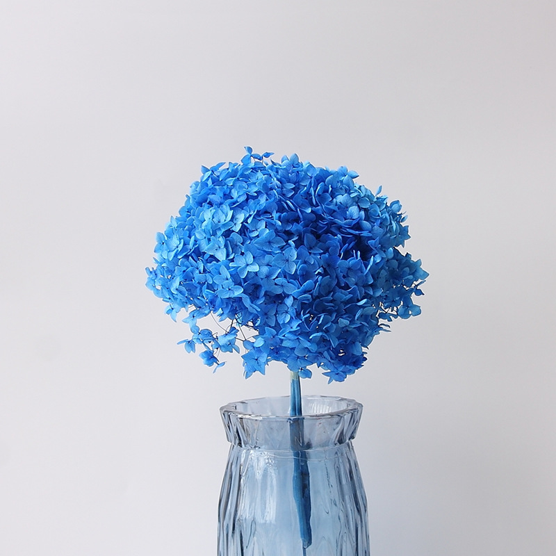 安娜绣球永生花 永生花礼盒材料 干花保鲜花 永生花材 整枝安娜