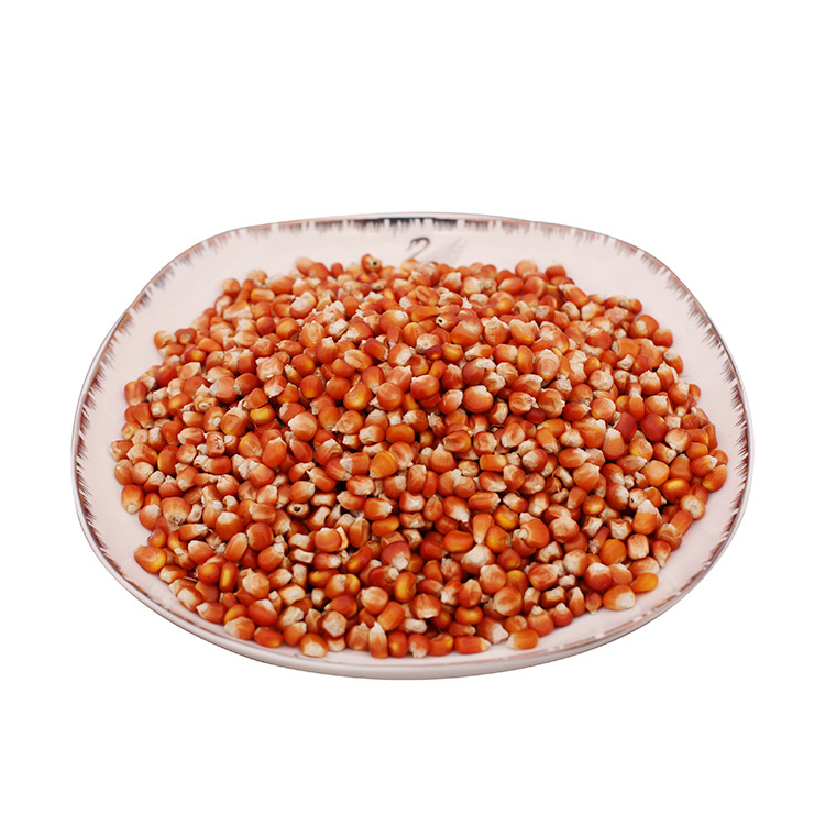 沧州本地灯笼红玉米农家自产五谷杂粮批发(非卖品)