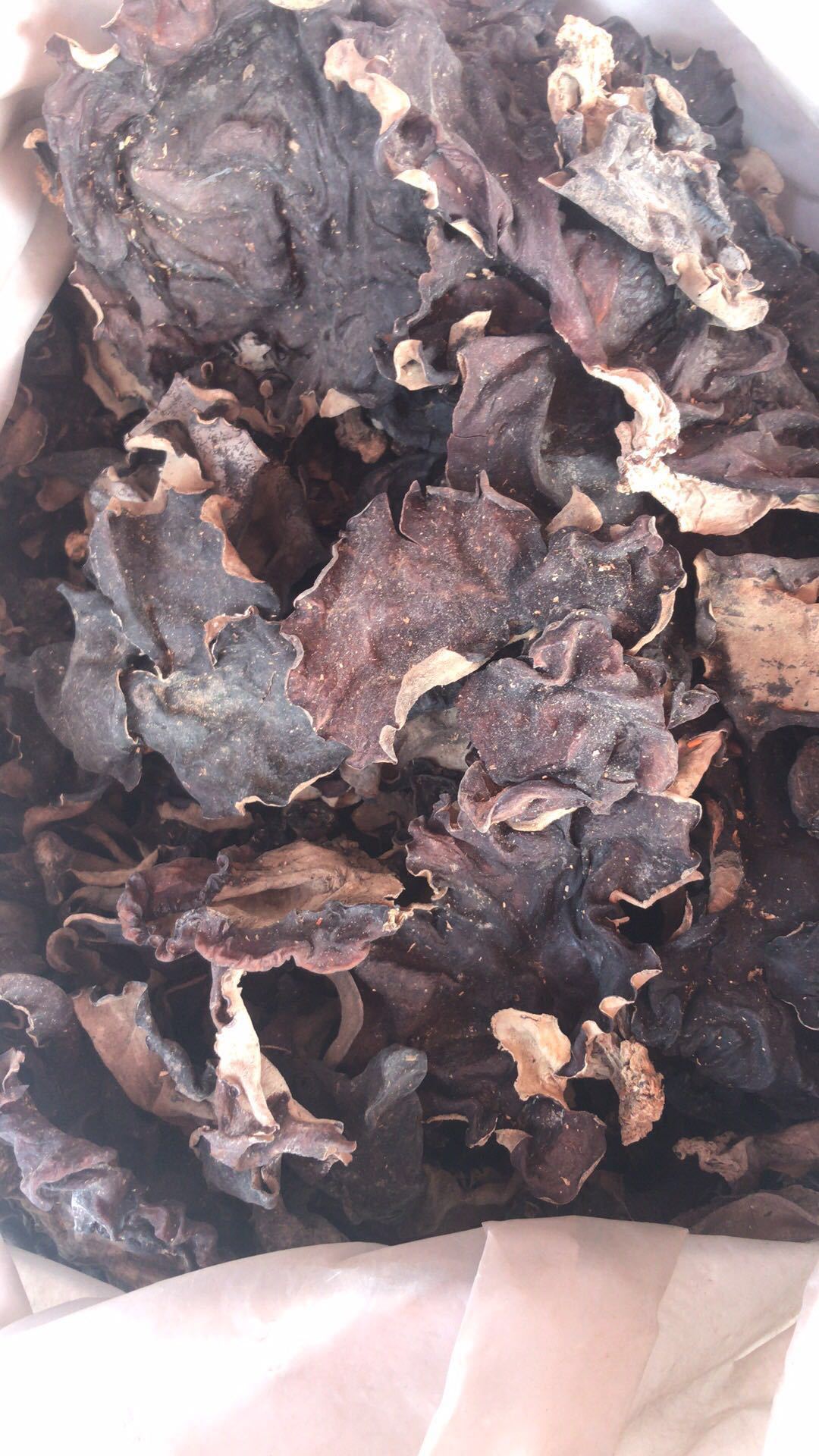 大木耳 黑木耳什邡 火锅麻辣烫木耳 脆木耳 四川大木耳 鱼香肉丝