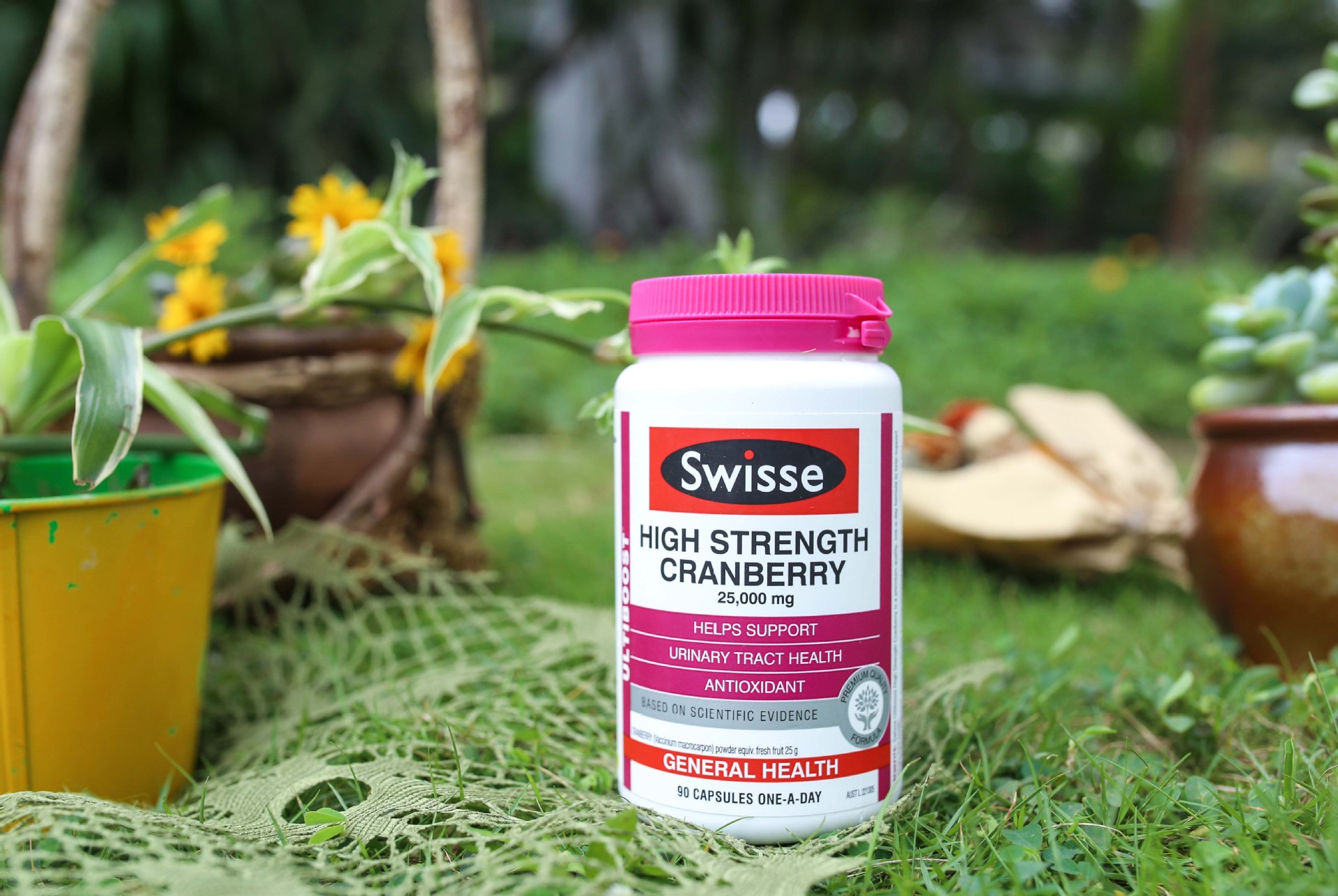 澳洲进口 swisse蔓越莓精华 90粒