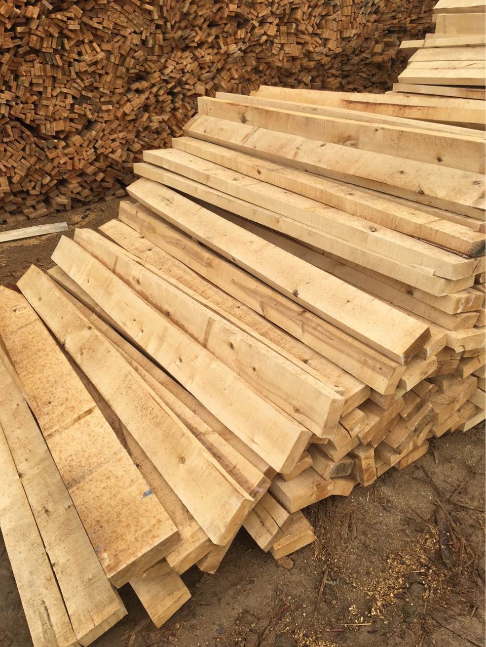 俄罗斯进口桦木板材 落叶松板材 规格材 定制刨光材