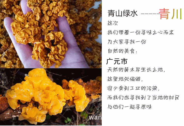 tb2quvoxv6aqebjszffxxaifpxa_!