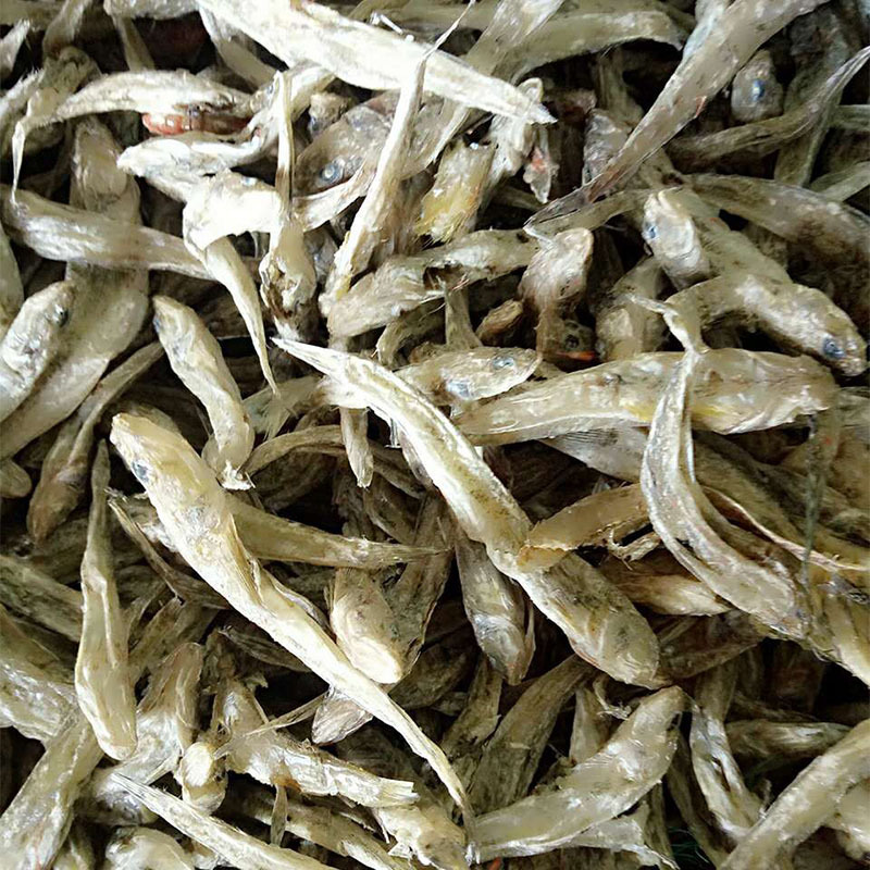 饲料出水烂鱼淡干鱼海产熟鱼干一吨蛋白60个饲料出水烂鱼淡干鱼