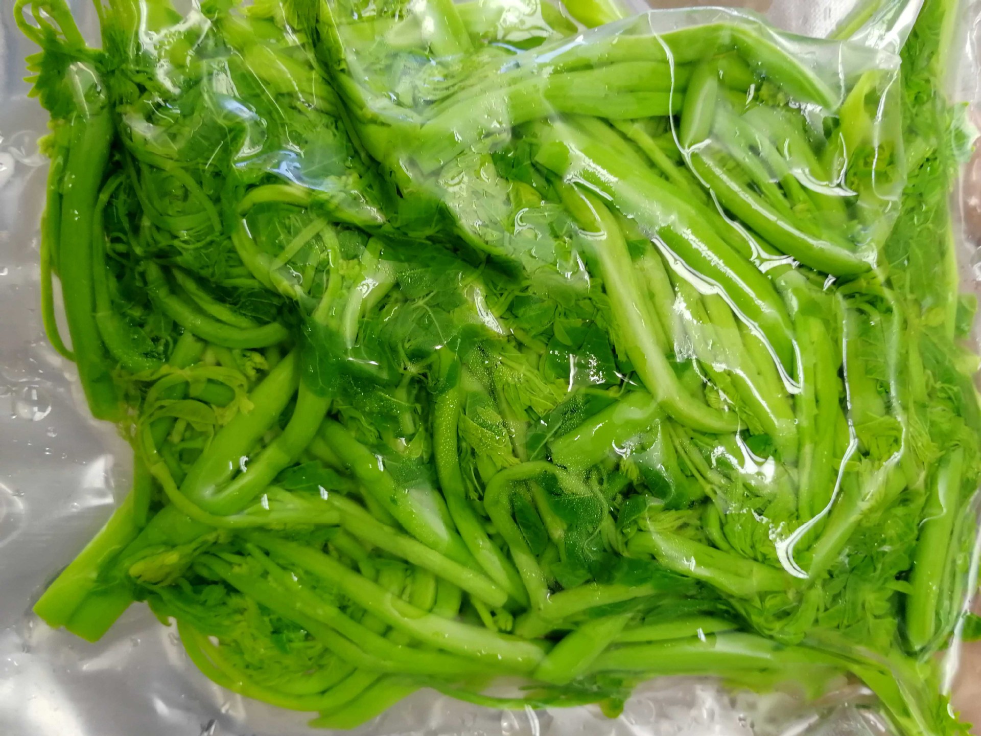 辣木菜产地批发 辣木鲜条 辣木叶 辣木鲜叶 冰冻辣木菜批发