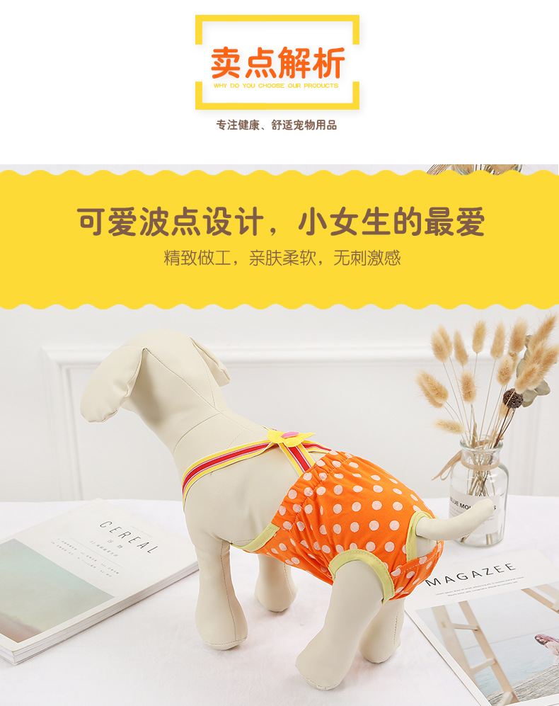 宠物衣服宠物生理裤狗狗月经裤泰迪比熊小母狗卫生裤狗内裤安全裤