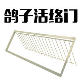 鸽子用品赛鸽活络门 活动门 鸽子跳笼门 碰门 撞门 信鸽撞笼门