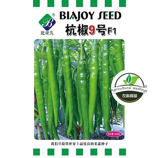 寿光蔬菜种子基地 杭椒9号f1 高产抗病耐顺直线辣椒种子