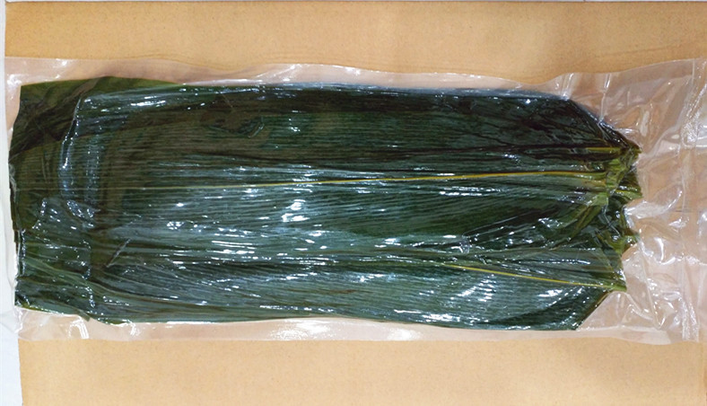 5cm端午节粽叶批发