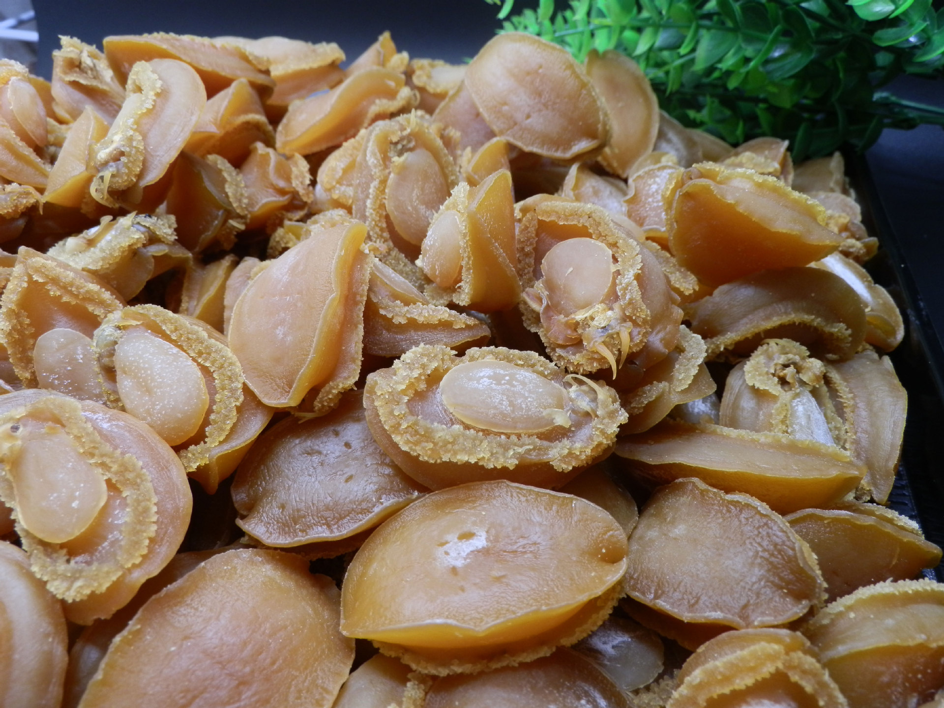 大连鲍鱼鲍鱼干300/200/150/100/80/60/40头500g大连海鲜干货批发