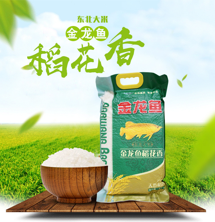厂家批发5kg金龙鱼大米 东北五常稻花香大米