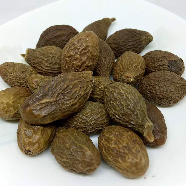 飒枫 胖大海 安南子 大洞果 大海榄 代发货oem贴牌代工 大货批发