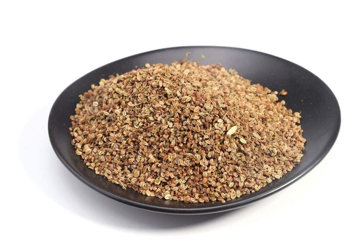 蛇床子提取物10:1规格含蛇床子素现货果实萃取物蛇床子浸膏浓缩粉