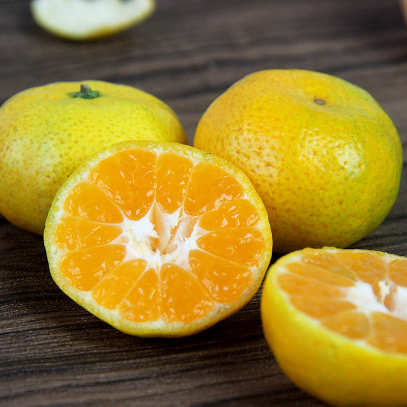 预售正宗江西南丰蜜桔 贡桔蜜橘子新鲜水果现摘现发批发 一件代发