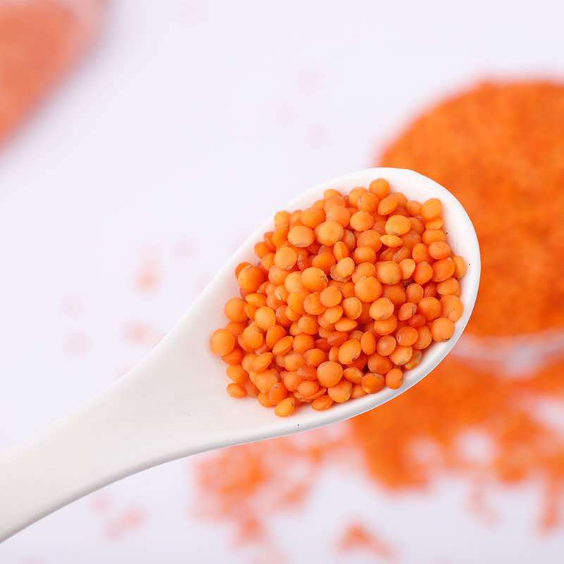 土耳其红扁豆批发 展会销售 五谷杂粮 大量批发 五十斤装