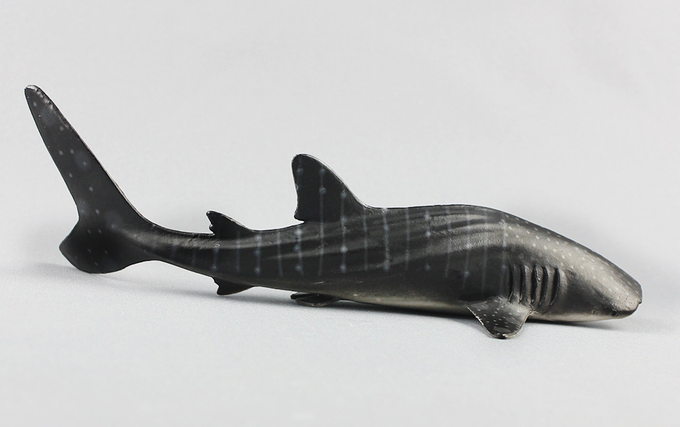 外贸货源速卖通仿真中鲸鲨实心鲨鱼海洋生物模型儿童男孩玩具摆件
