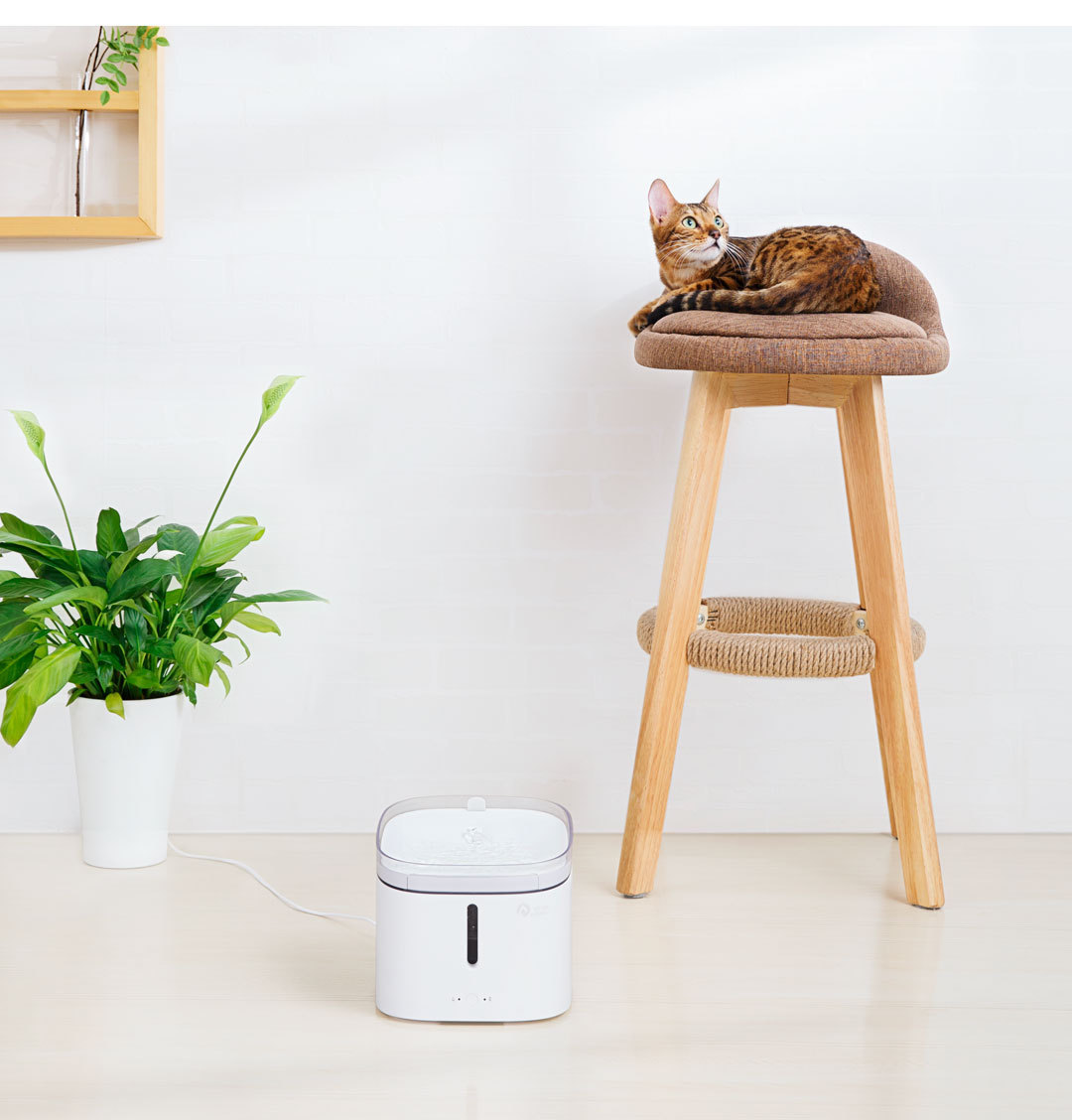 猫咪用流动饮水机喝水智能自动饮水器正品小米猫猫狗狗宠物饮水机