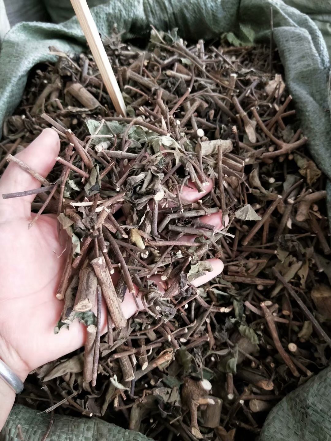 批发玉叶金花 白纸扇 每件500克