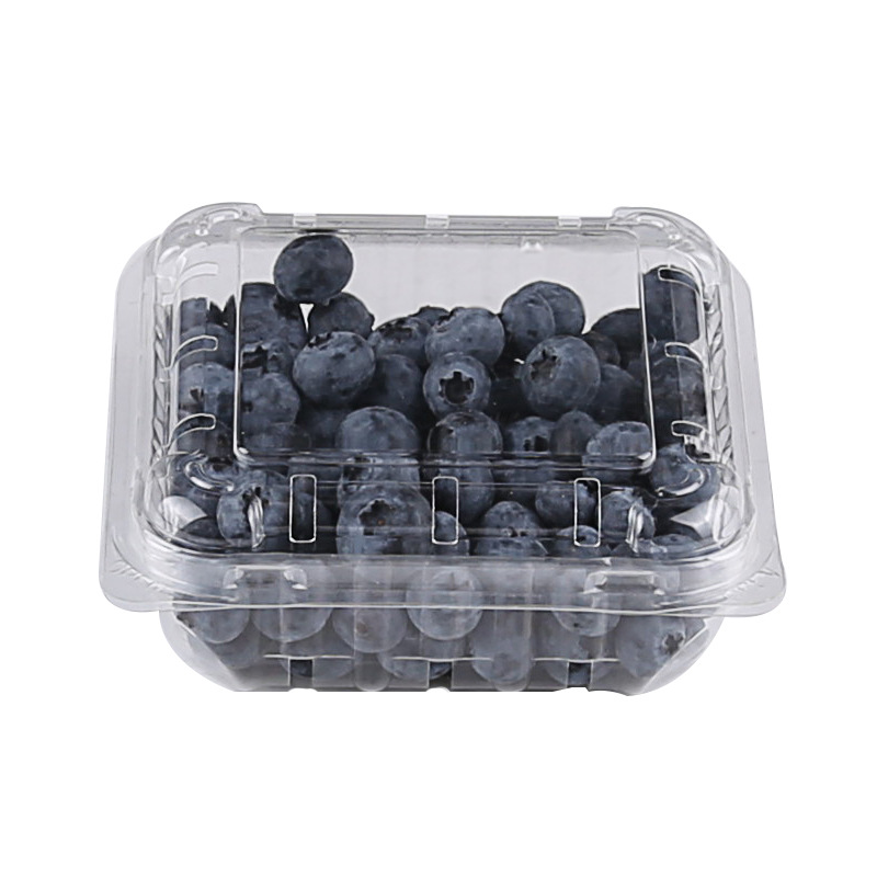 蓝莓盒125g一次性水果盒子透明子吸塑pet加厚正方形塑料打包透气