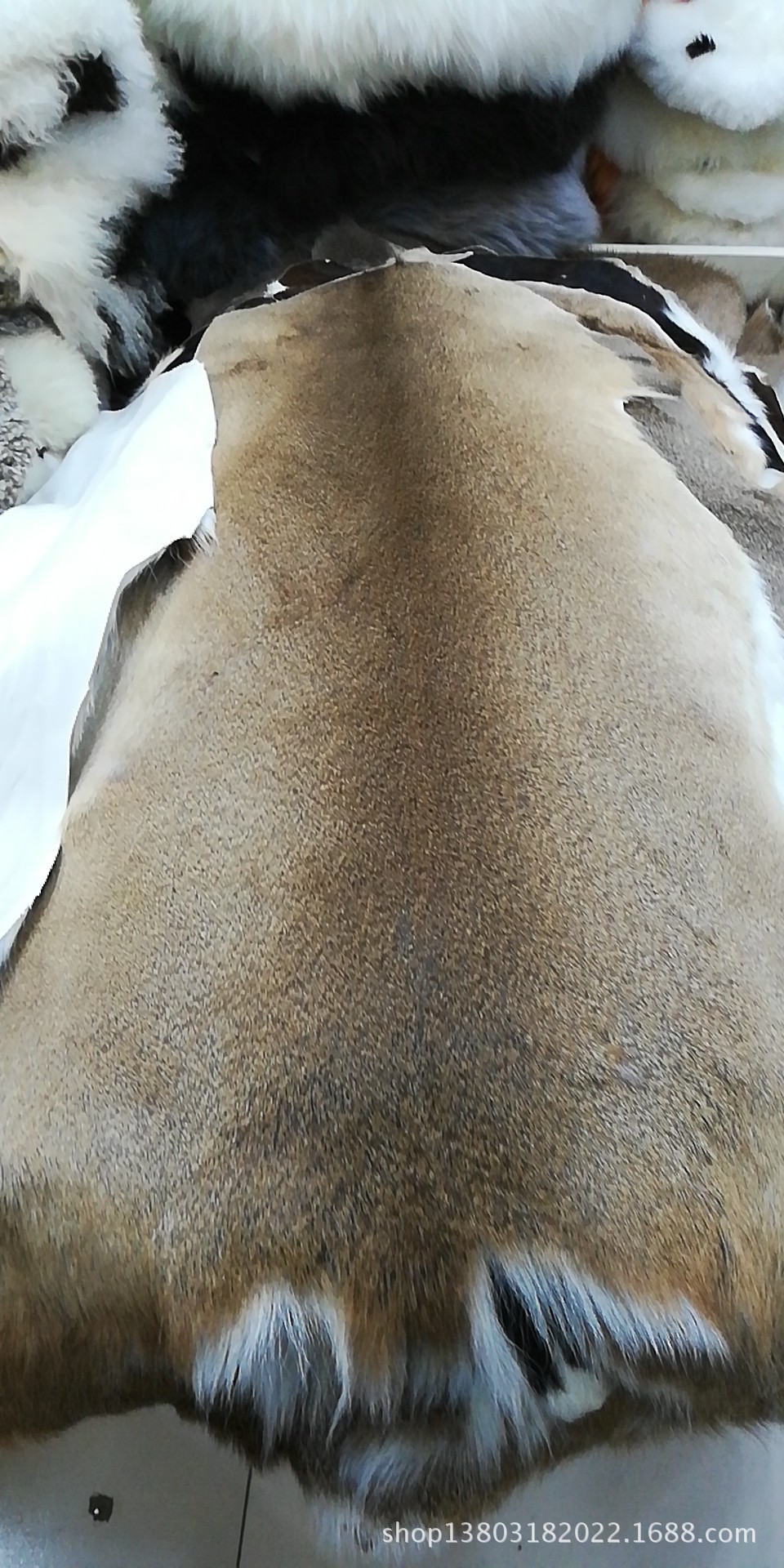 天然美国白尾鹿皮毛一体 家居装饰真鹿皮毛 野生真皮鹿皮服装